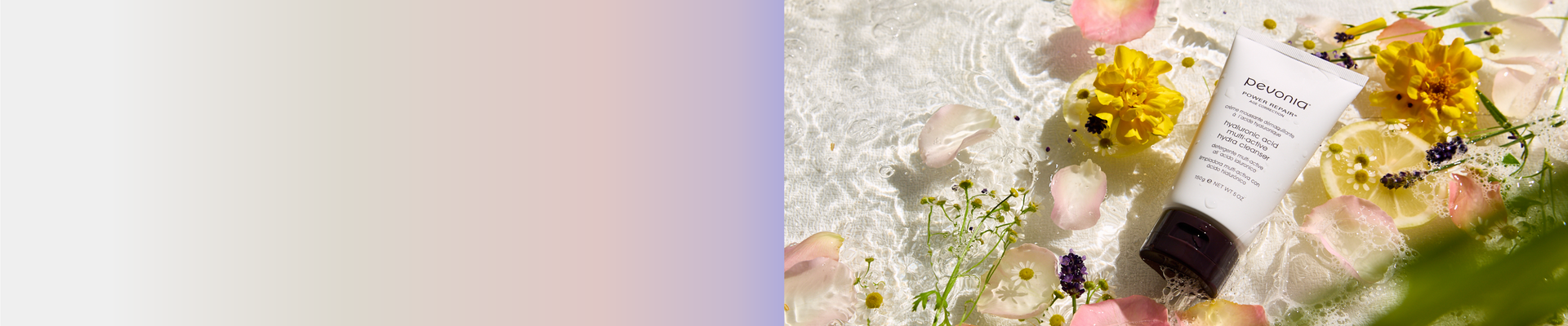 Pevonia's new Hyaluronic Acid cleanser lay in a bed of water, accompanied by the natural ingredients of the product including lemon, rose petals and Lavendar.